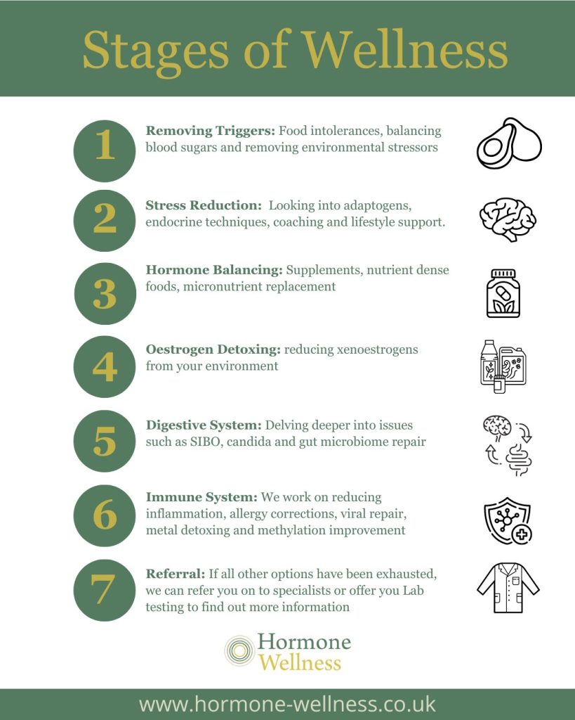 stages of wellness